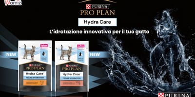 Favorisci l'idratazione del tuo gatto PRO PLAN® Hydra Care™!