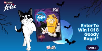 felix goody bag halloween contest