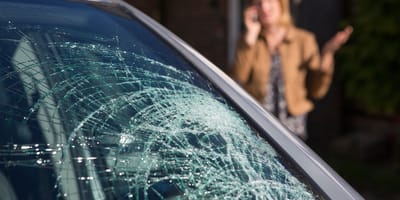 Fenêtre brisée : chien mort piégé dans une voiture