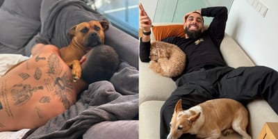 ferran-torres-con-perro-borja-iglesias-con-sus-perros