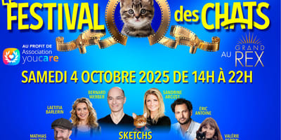 Festival des chats