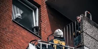 Feuerwehr rettet Katze in Köln