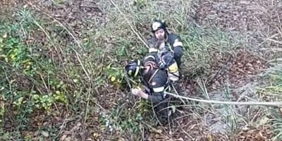Vigili del fuoco salvano un cane da una gola