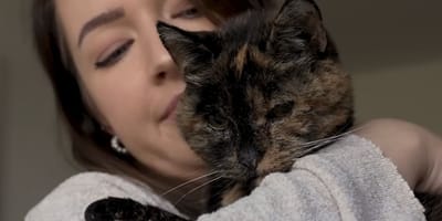 Flossie chatte Guinness des records