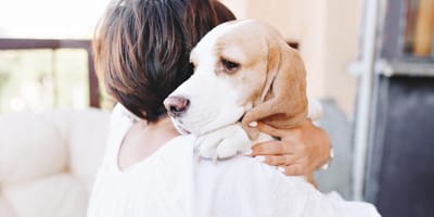 Frau hält Hund fest im Arm