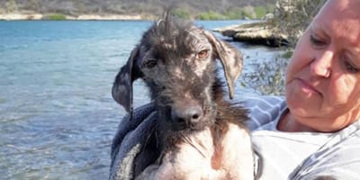 Frau hält räudigen Straßenhund