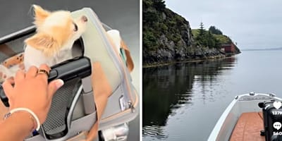 Frau macht mit Hund Urlaub in Norwegen
