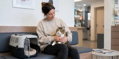 Frau sitzt mit ihrer Katze im Tierarzt-Wartezimmer