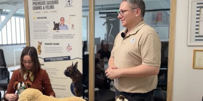 Frédéric de SauveQuiPattes lors de la formation secourisme chien et chat