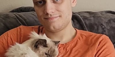 Kater Gandalf