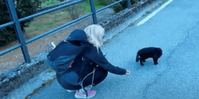 gatto nero per strada
