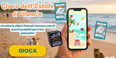 Gioco dell'estate Wamiz