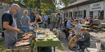 Grillfest im Tierheim