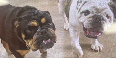 Gus et Maggie