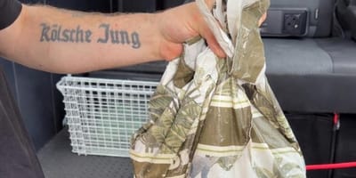 Hand hält eine zugeknotete Plastiktüte