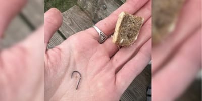Hand holding dog treat and fish hook