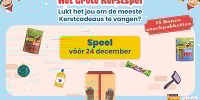 Het Grote Kerstsepl