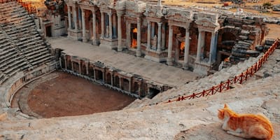 historische kattennamen