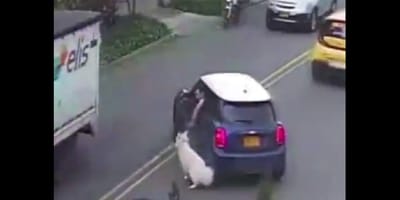 hombre arrastra a perro en Bogotá