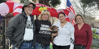 Hond Choco na 5 jaar teruggevonden