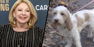 Hond Filou van Janny van der Heijden moest naar dierenarts