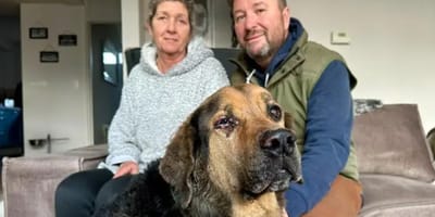 Hond Kaz vat vlam bij sfeerhaard