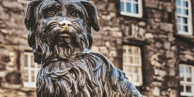hond mee naar Schotland