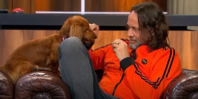 Hond Messi van Studio Sport overleden