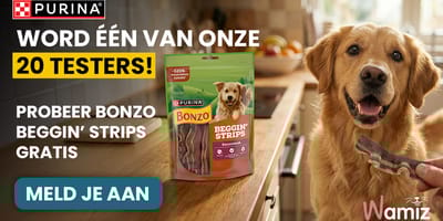 Hond met snack
