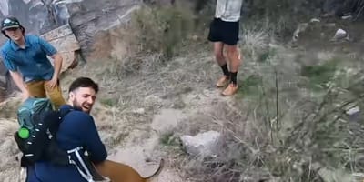 Hond moet per helicopter worden gered na val in Canyon