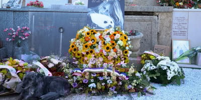 Hond naast graf van dierenvriend Brigitte Bardot