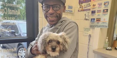 Hond Peter wordt na 10 jaar weer herenigd met zijn baasje
