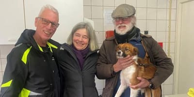 Hond Sammie neemt de trein, maar zonder baasje