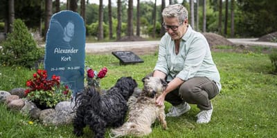 hondjes simba en luna bij graf Alexander