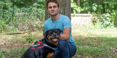 Horrordierenpension moet dicht, honden zijn ondervoed, zwaar toegetakeld en uitgedroogd