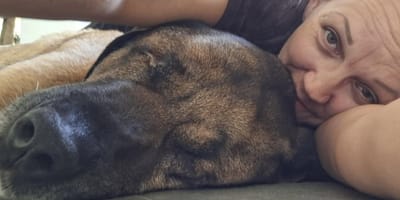 Hund Douman braucht ein Weihnachtswunder