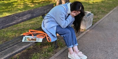 Hund einer Halterin ist entlaufen