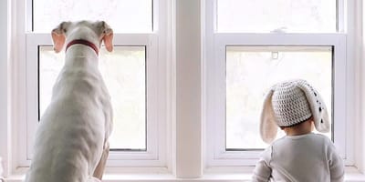 Hond met baby voor het raam