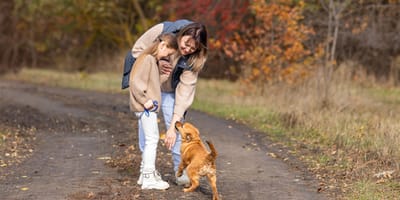 Hund sind für Mütter oft belastend