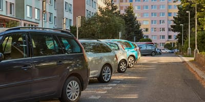 Hund tagelang in Kofferraum gesperrt