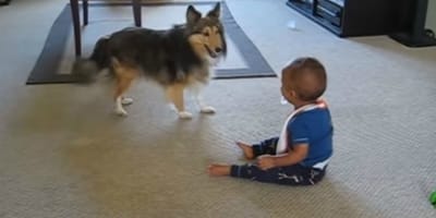 Cane e bambino