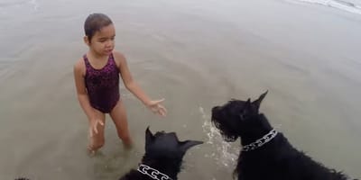 Hund und Kind am Strand