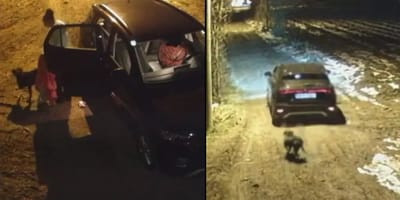 Hund wird aus Auto geworfen