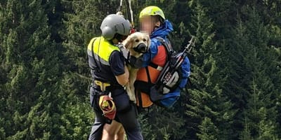 Hund wird nach 40-Meter-Sturz gerettet