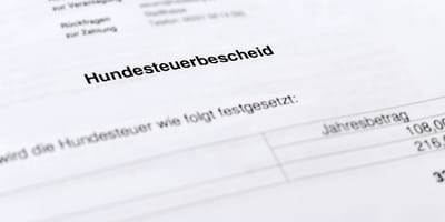 Hundesteuerbescheid