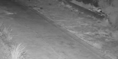 Image de surveillance