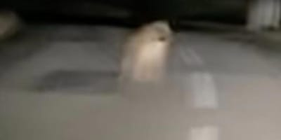 Imagen borrosa de una carretera