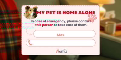 In Case Of Emergency card