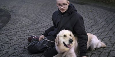 In Purmerend wordt vuurwerk gegooid naar hulphond Bumper