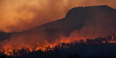 Incendies en Calabre